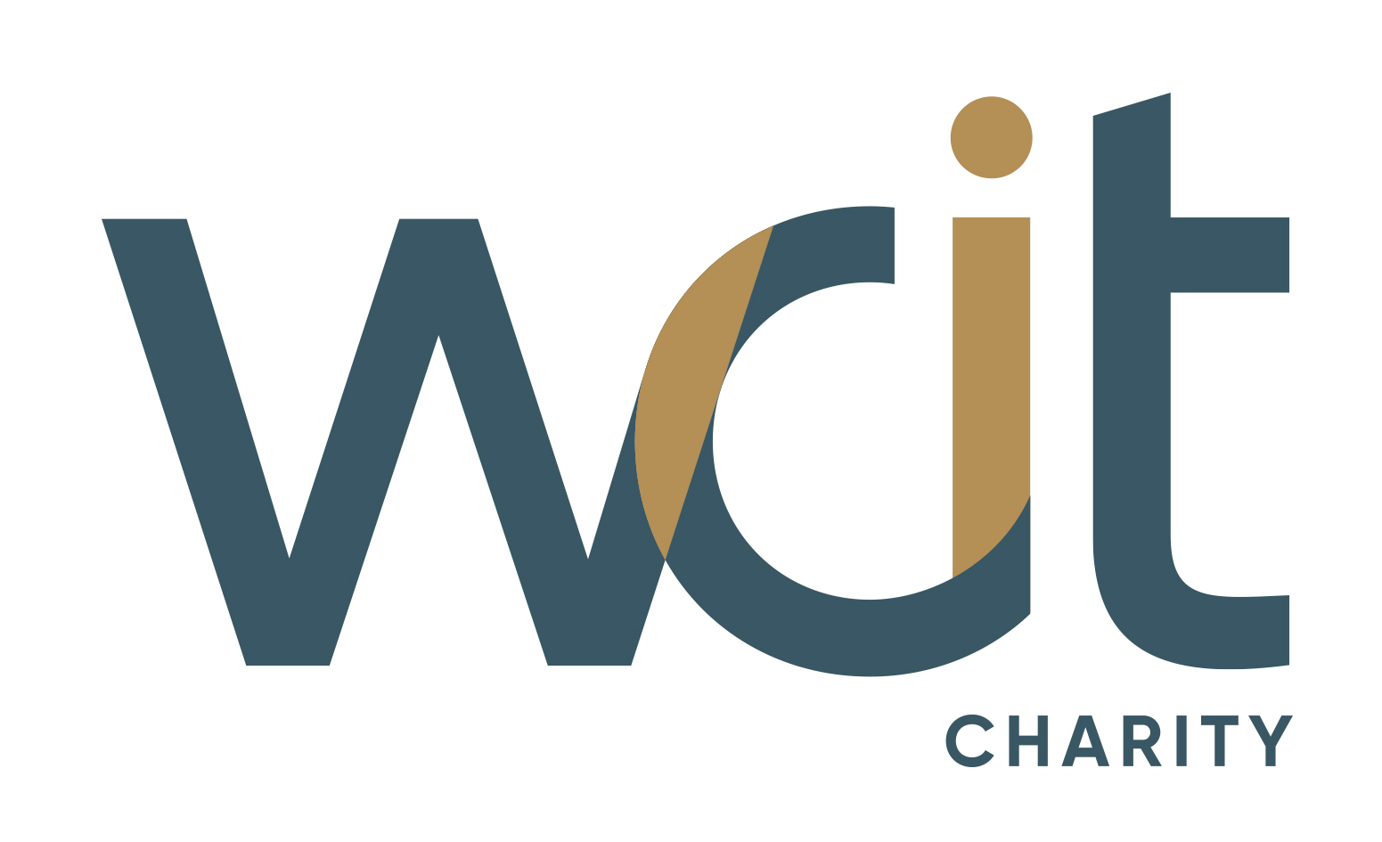 WCIT Charity
